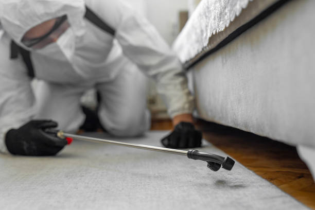 Professional Termite Control technician working in Lewistown, PA