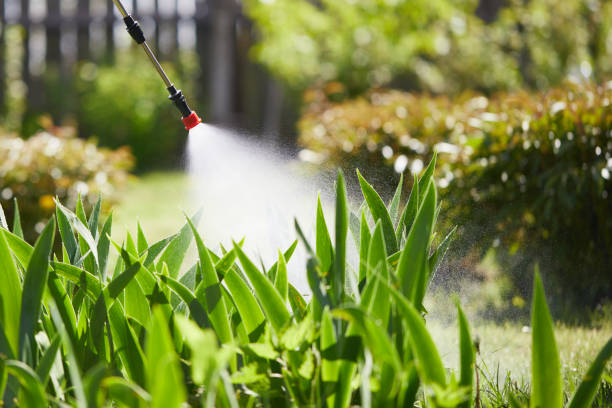 24/7 Emergency Termite Control experts in Lewistown, PA